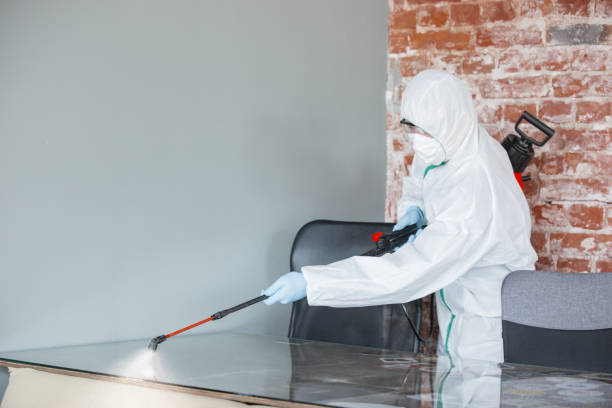 Julian, CA Mold Removal Services Company